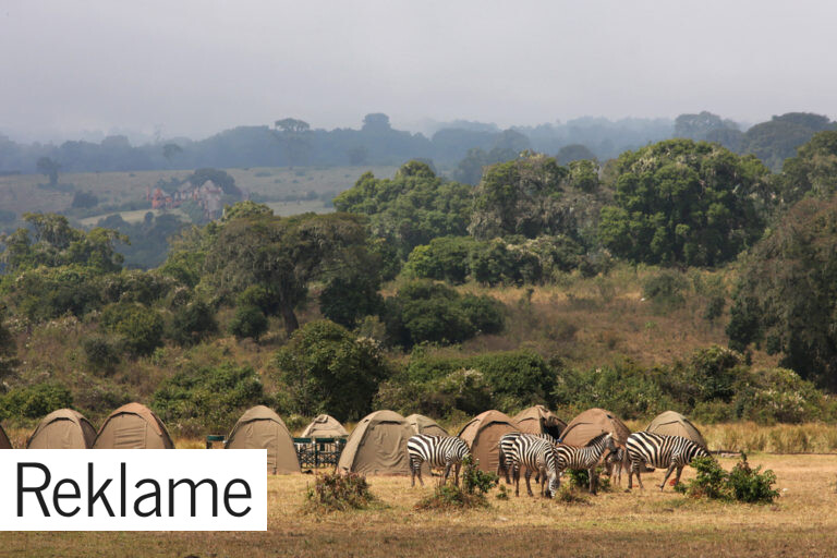 campingsafari-i-afrika