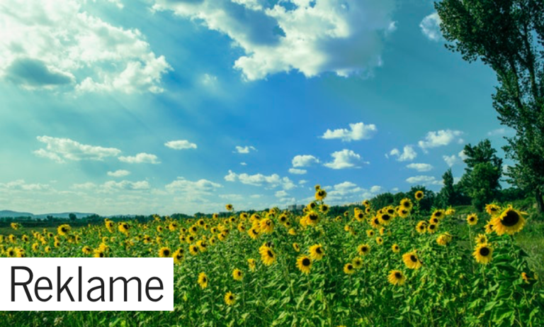 Investeringer til hverdagen