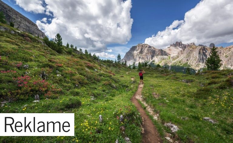 Kryds kontinenterne på en jordomrejse