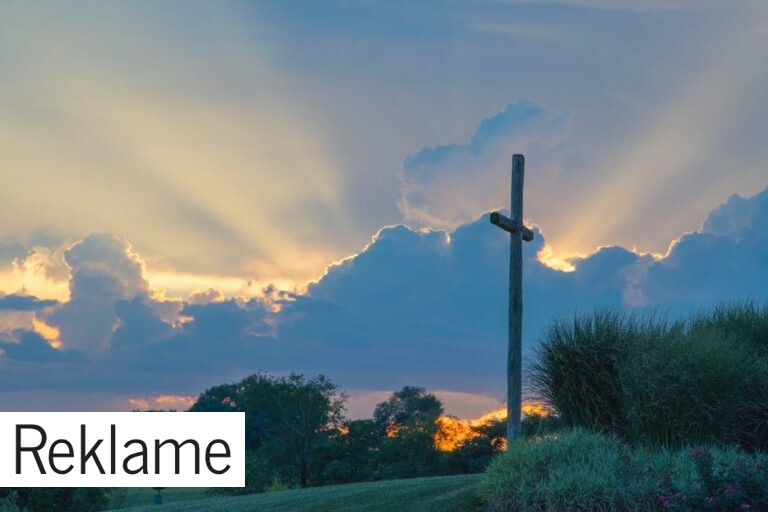 Internethandlen i bedemandsbranchen stiger