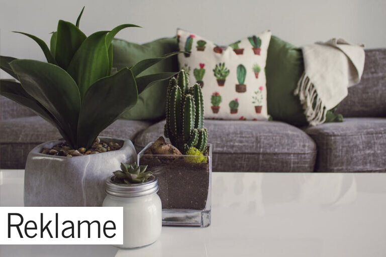 Boligtrend: Fyld dit hjem med grønne planter