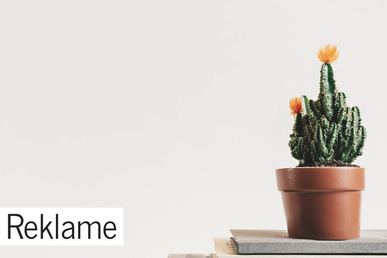 Har du brug for fornyelse i boligen?