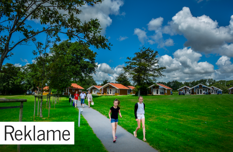 Kender du opskriften på en vellykket miniferie?