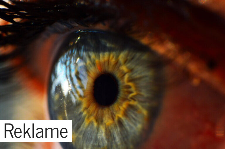 Brug for synstest? Læs med her