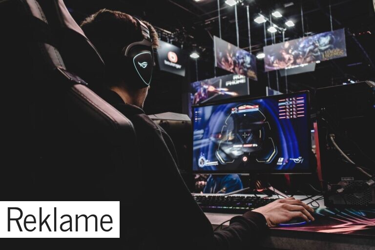 Gamernes vilde verden