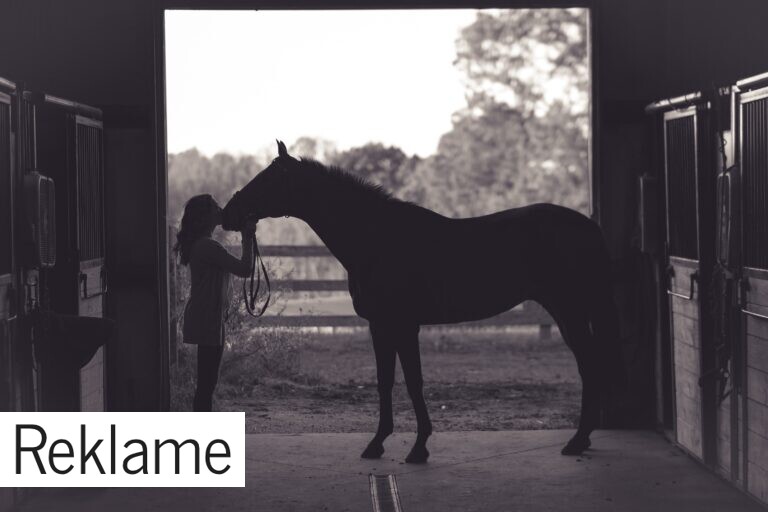 Hestedækkener – den perfekte jakke til din bedste ven!