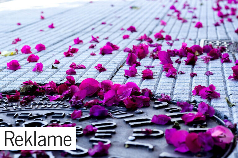 Få et sundere kloaksystem