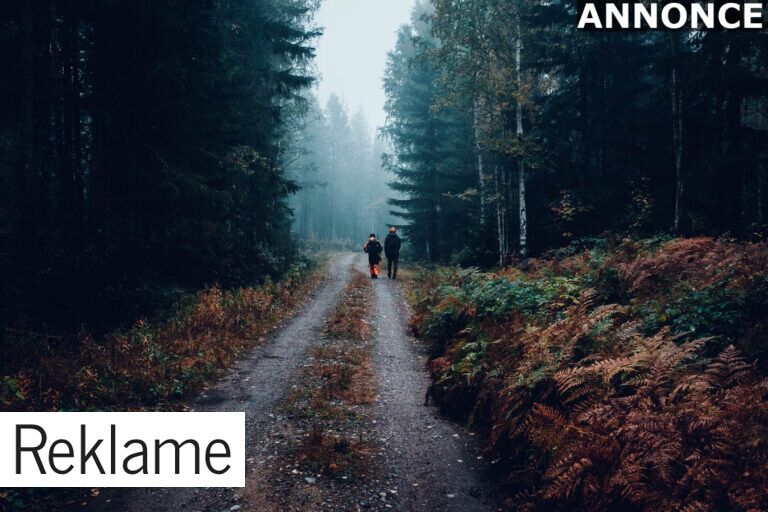 4 tips til når du starter med at gå på jagt