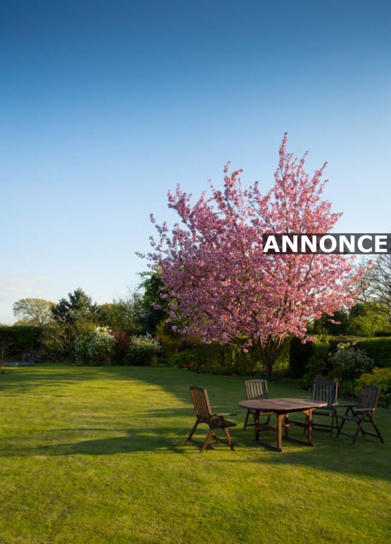 Gør arbejdet i haven mere overskueligt