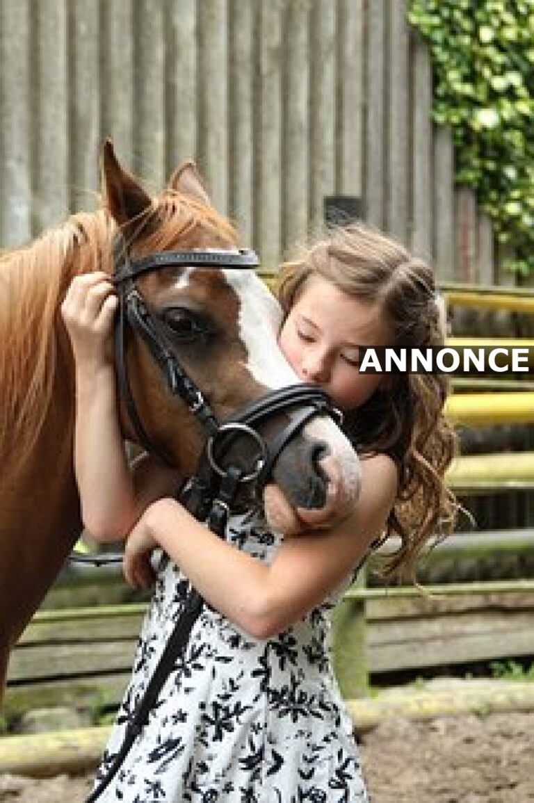 Skal du bruge din fritid på ridning?