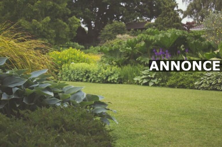 Gør livet som haveejer lettere