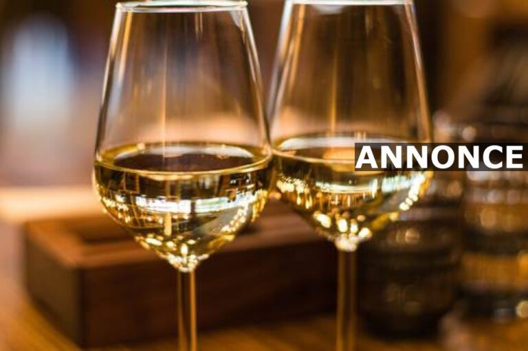 Sådan finder du den perfekte vin