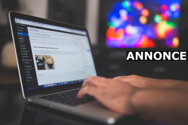 Del din hobby igennem en blog